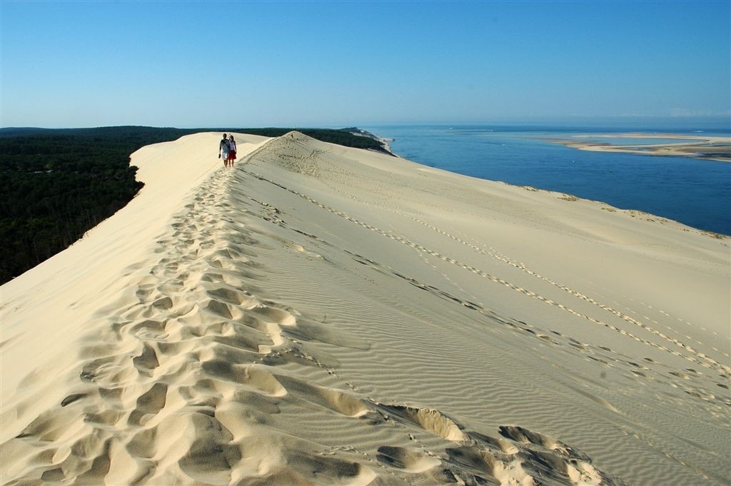 Grand site de la dune du Pilat Agence Scarabée
